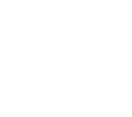 Logo Bolsamania